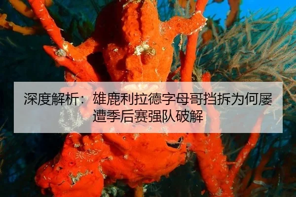 深度解析：雄鹿利拉德字母哥挡拆为何屡遭季后赛强队破解